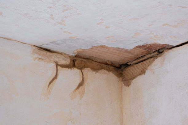 Best Flood damage cleanup  in Syracuse, IN