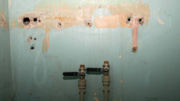 Best Fire Damage Restoration  in Syracuse, IN