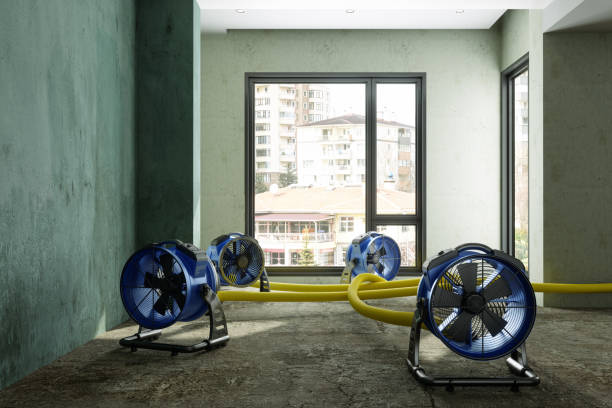 Best Water damage restoration near me  in Syracuse, IN